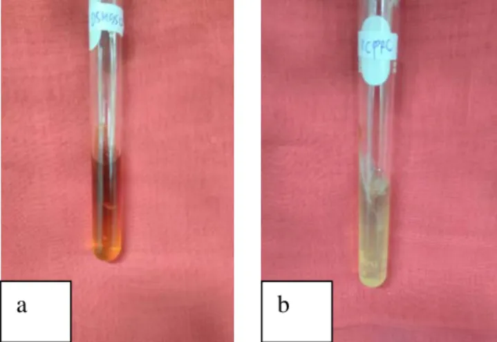 Gambar 6 : Uji reduksi nitrat a. Warna merah menunjukkan reduksi nitrat  (positif), b