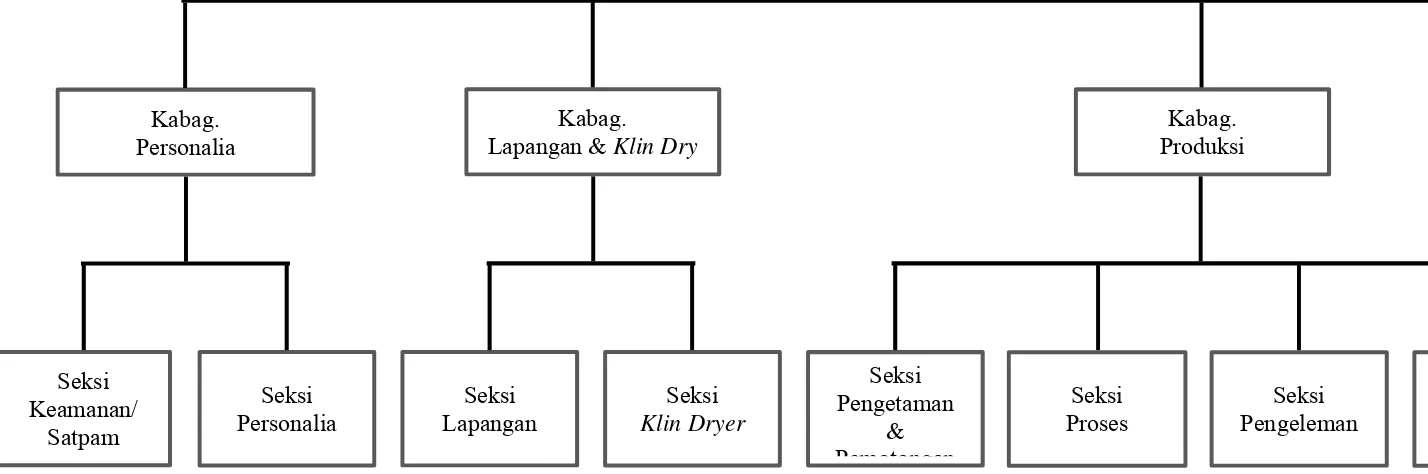 Gambar 2.1. Struktur Organisasi PT. Sumatera Wood Industry 