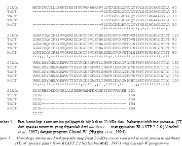 Gambar 1.    Peta homologi asam amino polipeptida biji kakao 21-kDa dan   beberapa inhibitor protease  (IT) 