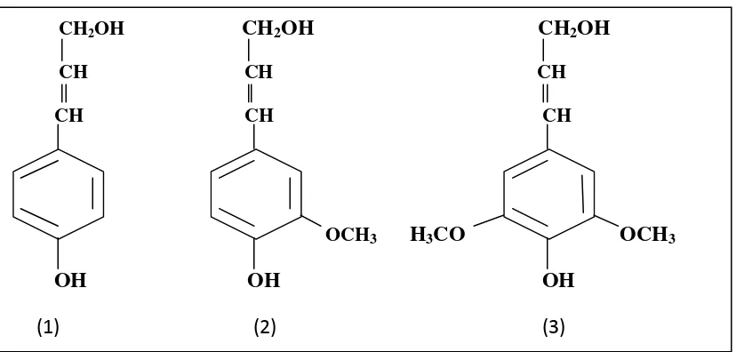 Gambar 2.1. Unit penyusun lignin, p-koumaril alkohol (1), koniferil alkohol(2), dan sinapil alkohol(3)