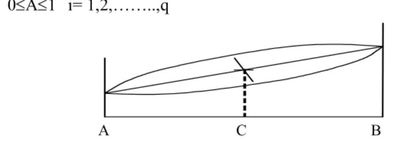 Gambar 2. Simplex Lattice Design Model Linear 