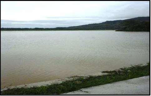 Gambar 2. Genangan air di areal sawah pada saat musim penghujan. Sumber: Setyaningsih, 2012 