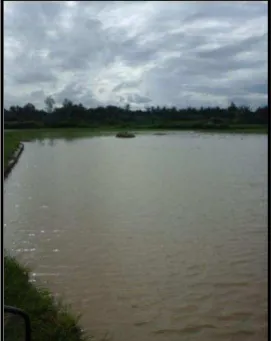 Tabel 2.   