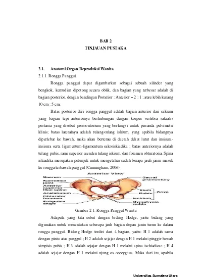 BAB 2 TINJAUAN PUSTAKA 2.1. Anatomi Organ Reproduksi Wanita - Gambaran ...