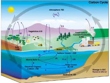 Gambar 1. Diagram dari siklus karbon. Angka dengan warna hitam menyatakan berapa banyak