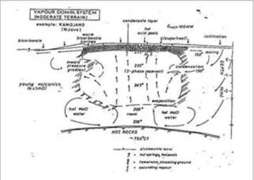 Gambar 10. Model Sistim Dominasi Uap di Lapangan Kamojang – Jawa Barat [Hochstein, 1982) 