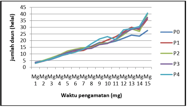 Gambar 2.  Grafik pertambahan jumlah daun tomat akibat pengaruh perlakuan perendaman benih dengan bakteri P.alcaligenes TrN2   