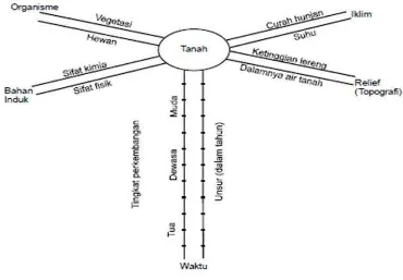 Gambar 2.3: Faktor-faktor pembentuk tanah 