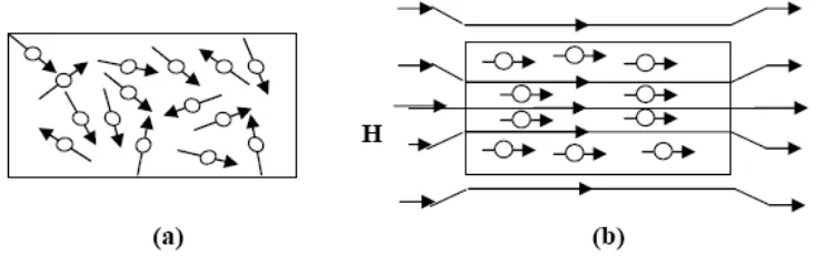 Gambar 2.6 Arah partikel pada magnet isotropi dan anisotropi 