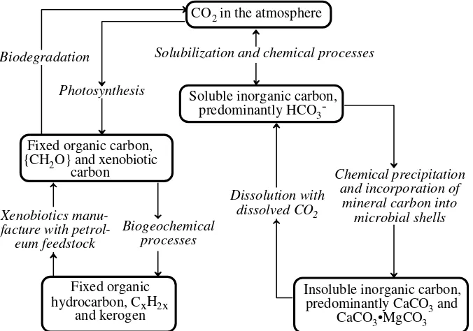 Figure 1.5. The carbon cycle. Mineral carbon is held in a reservoir of limestone, CaCO3organic carbon is released as COformed when dissolved COwhich it may be leached into a mineral solution as dissolved hydrogen carbonate ion, HCO3-dioxide, CO
