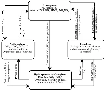 Figure 1.6. The nitrogen cycle.
