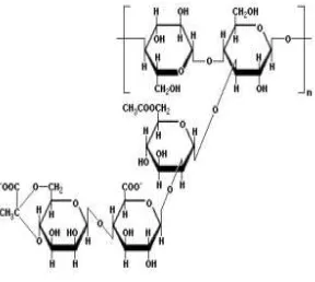 Gambar 3. Struktur molekul xanthan gum (Williams and Phillips, 2004). 