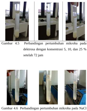 Gambar  4.5   Perbandingan  pertumbuhan  mikroba  pada