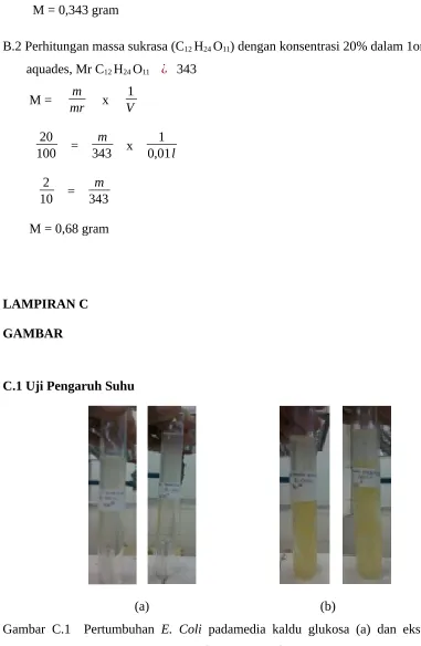 GAMBAR C.1 Uji Pengaruh Suhu