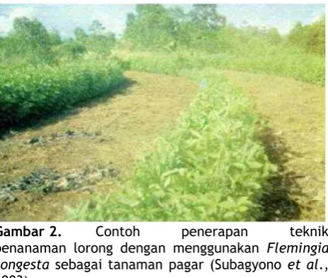 Gambar 2. Contoh 