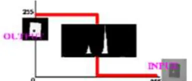 Gambar 2.10 Threshold, Density slicing 
