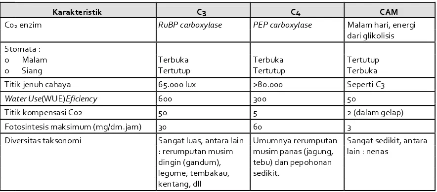 Tabel 1. Karakteristik penting dan perbandingan pola fotosintesis tanaman C3, C4 dan CAM 