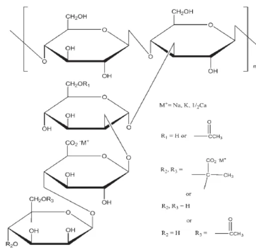 Gambar 2.3. Struktur kimia xanthan gum (Rowe, dkk., 2009).