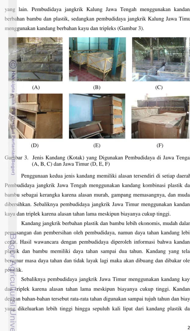 Gambar  3.    Jenis  Kandang  (Kotak)  yang  Digunakan  Pembudidaya  di  Jawa  Tengah  (A, B, C) dan Jawa Timur (D, E, F)  