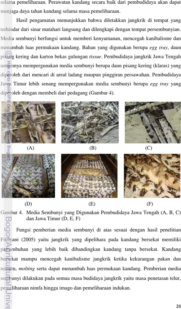 Gambar 4.  Media Sembunyi yang Digunakan Pembudidaya Jawa Tengah (A, B, C)        dan Jawa Timur (D, E, F) 