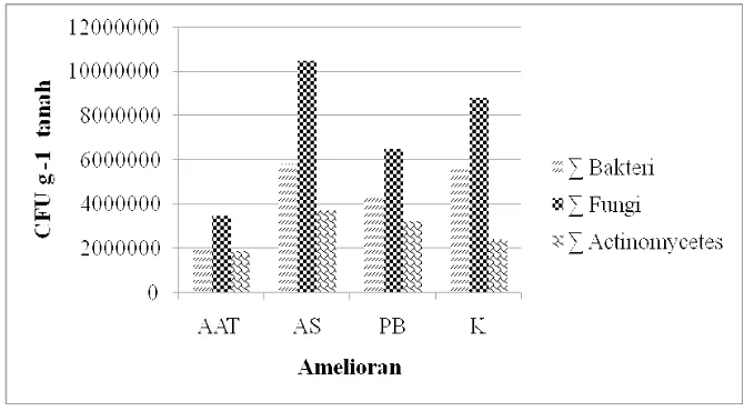 Gambar 1. Populasi mikroorganisme tanah lahan basah pemberian biochar (AS), air asam tambang (AAT), pupuk besi (PB) dan perakuan kontrol (K)