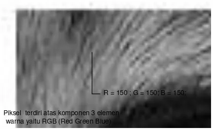Gambar  3.1   Ilustrasi Nilai RGB pada Piksel 