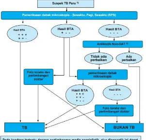 Gambar 3.2  Alur diagnosis TB paru (Depkes, 2011) 