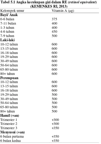 Tabel 5.1 Angka kecukupan gizi dalam RE (retinol equivalent) 
