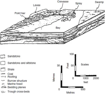 Gambar  II.2 Rekonstruksi lingkungan pengendapan transisi berupa fasies lower delta plain (Thomas, 2013)