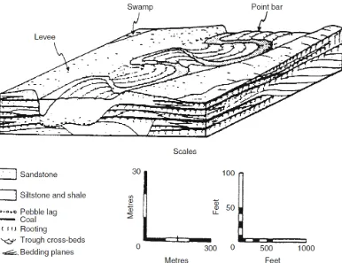 Gambar II.3 Rekonstruksi lingkungan pengendapan transisi berupa fasies upper delta plain (Thomas, 2013)