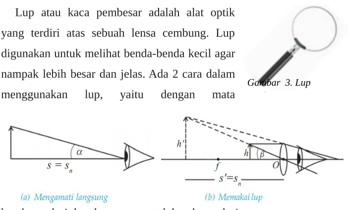 Gambar  3. Lup 
