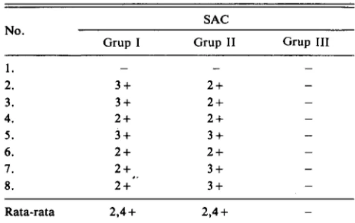 Tabel 2. Uji serum aglutinasi cepat (SAC) 3 minggu setelah ino- ino-kulasi pada Grup I, II dan III