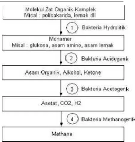 Gambar 1. Kelompok Bakteri Metabolikyangterlibatdalampenguraianlimbahdalam sistem anaerobik.