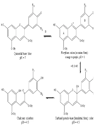Gambar 6. Perubahan struktur akibat pengaruh penambahan buffer pH (Sumber: Lee, et. al, 2005)