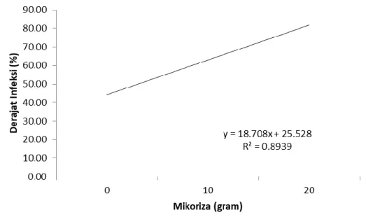 Gambar  6.  Grafik  derajat  infeksi  akar  akibat  aplikasi  mikoriza  pada  bibit  kelapa  sawit di tanah Ultisol