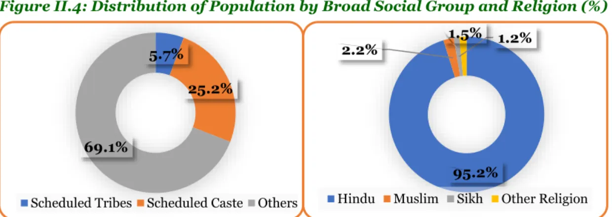 Figure II.4: Distribution of Population by Broad Social Group and Religion (%) 