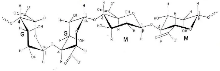 Gambar 2.3.1 Struktur M: - D asam mannuronat dan G: - L asam guluronat