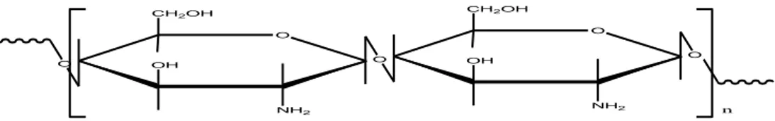 Gambar 2.1. Struktur polimer kitosan (Sugita, 2009) 