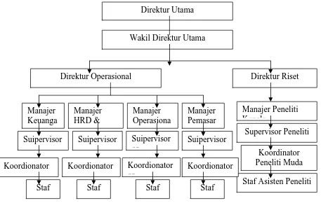 Gambar 1. Struktur Organisasi CV. Indmira  