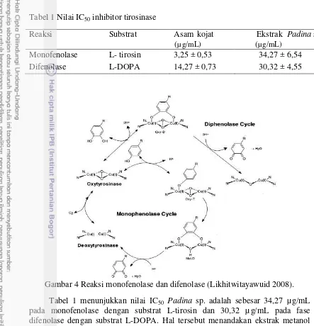 Tabel 1 menunjukkan nilai IC50pada monofenolase dengan substrat L-tirosin dan 30,32 µg/mL pada fase Padinadifenolase dengan substrat L-DOPA