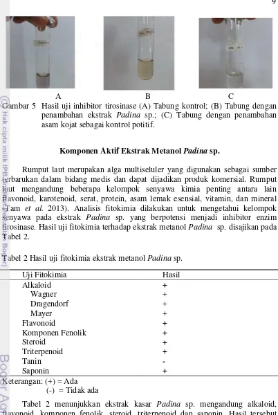 Tabel 2 Hasil uji fitokimia ekstrak metanol Padina sp. 