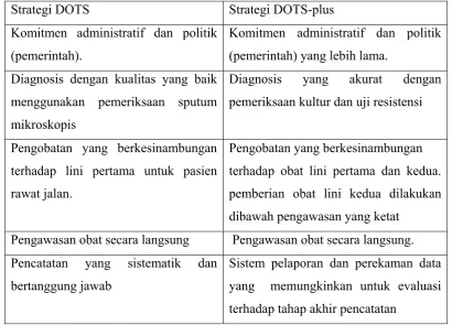 Tabel 2.1 Perbandingan antara Prinsip Strategi DOTS dengan DOTS-plus 