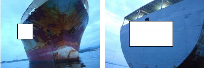 Gambar 1. Tampak star board side dan port sidepp