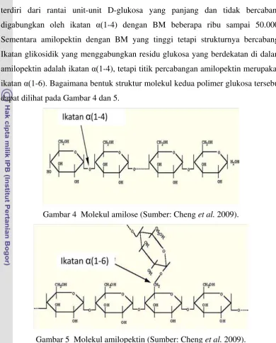 Gambar 5  Molekul amilopektin (Sumber: Cheng et al. 2009). 