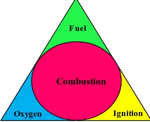 Gambar 3. Prinsip dapat terjadinya combustion:  kebakaran / ledakan[3]. 