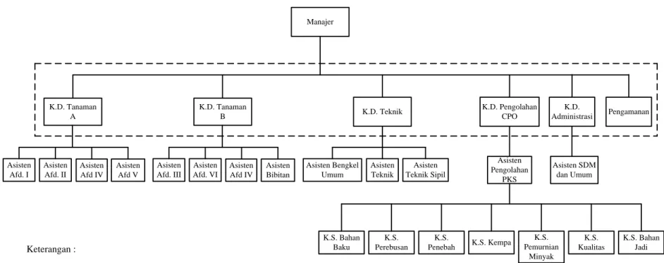 Gambar 2.1. Struktur Organisasi PT Perkebunan Nusantara IV Unit Kebun Pabatu 