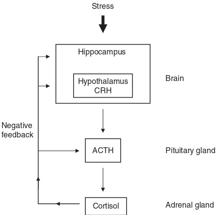 Figure 1The hypothalamic–pituitary–adrenal (HPA) axis.