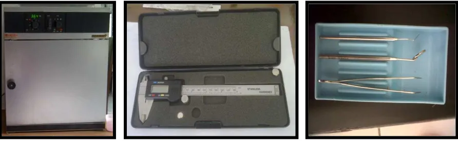 Gambar 8. Inkubator  