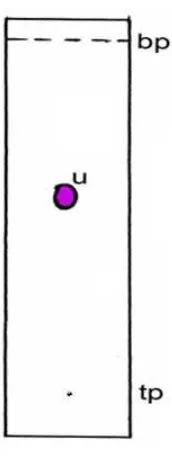 Gambar 9.  Kromatogram hasil KLT  uji kemurnian isolat  