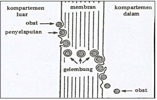 Gambar 8.  Transpor trans membran transpor yang dipermudah          (Joenoes, 2002)